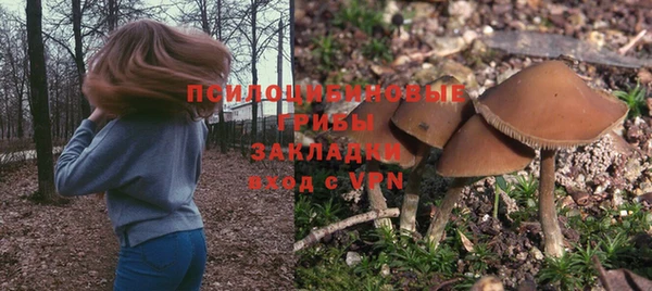 таблы Алексеевка