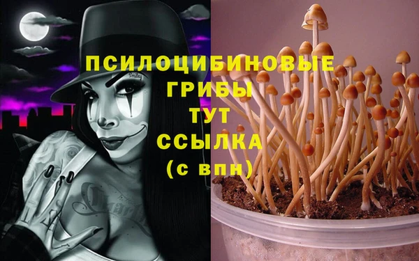 шишки Дегтярск