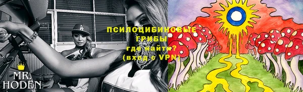 таблы Алексеевка
