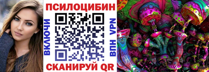 закладки Киселёвск Псилоцибиновые грибы ЛСД