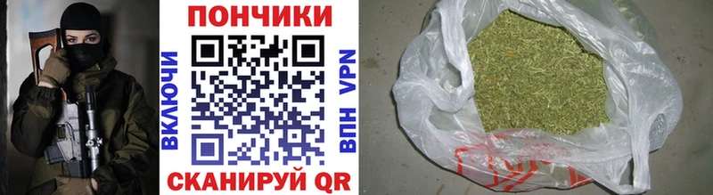 Конопля план  Киселёвск 
